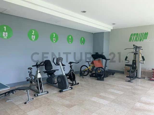 Vista 12