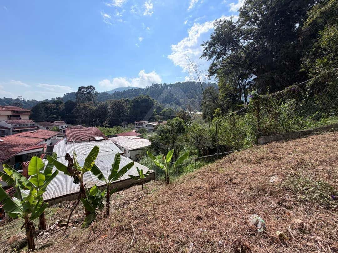 View 8