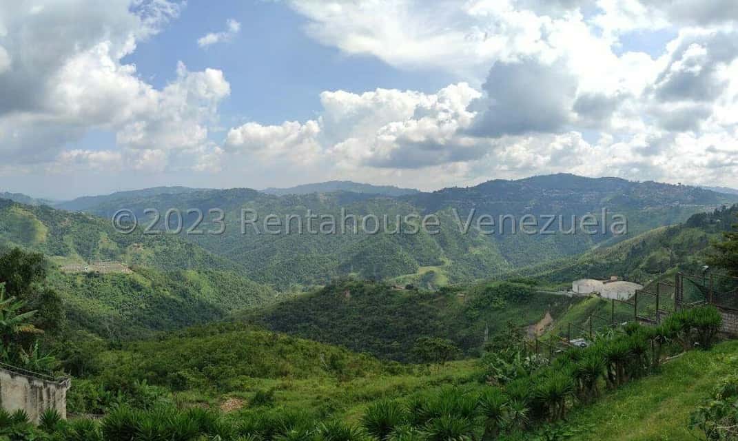 View 7