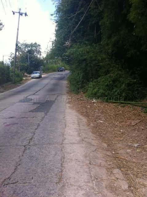 View 1