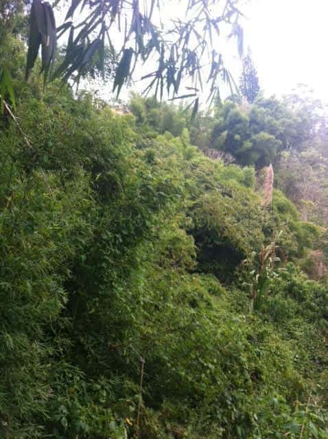 View 3