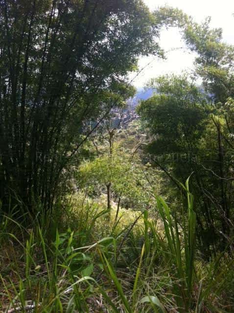 View 4