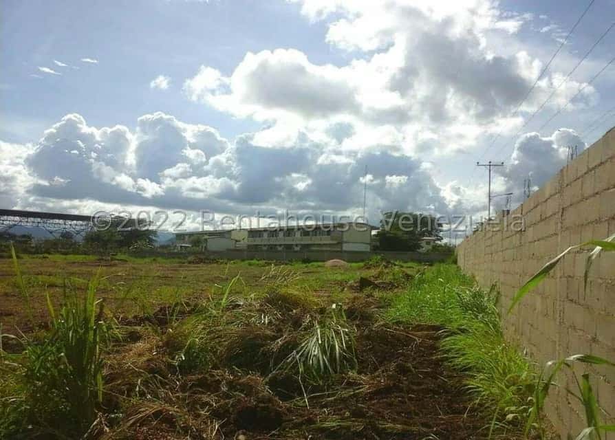 Vista 31