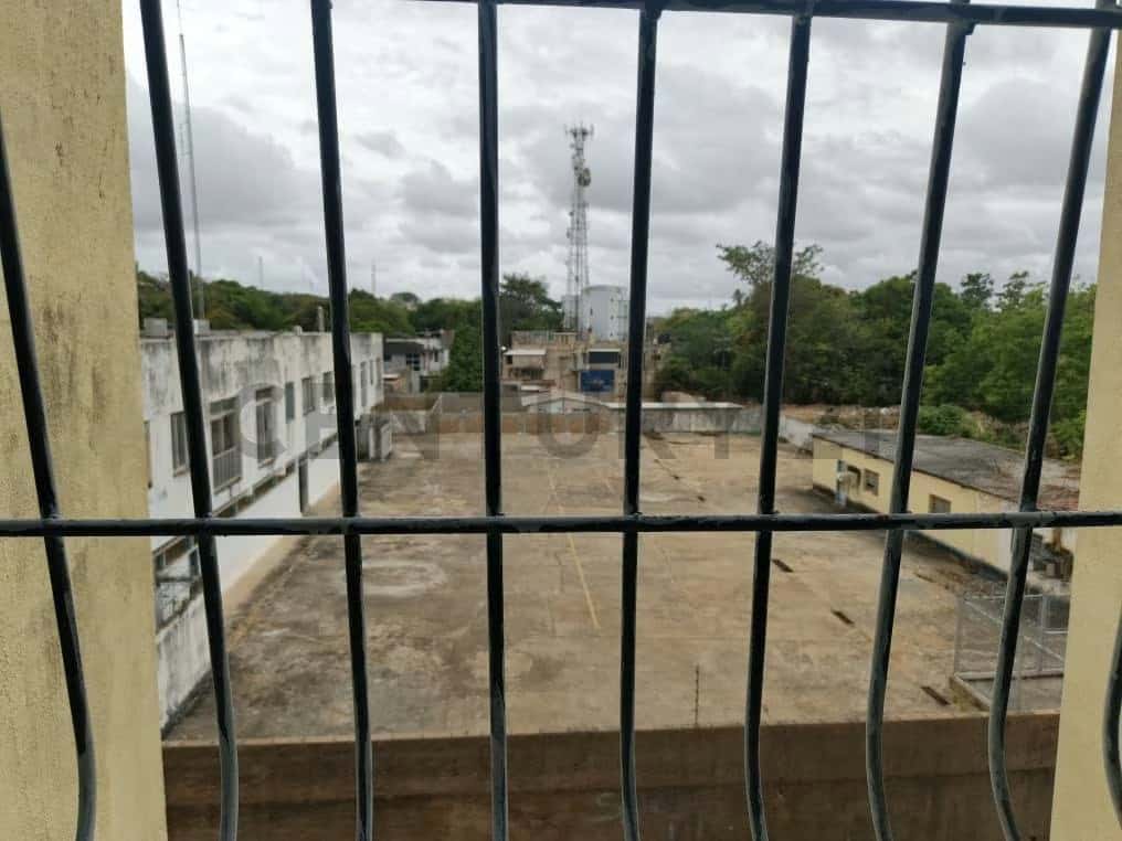 View 14