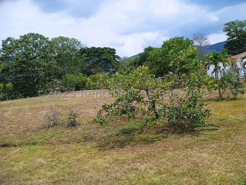 Vista 15