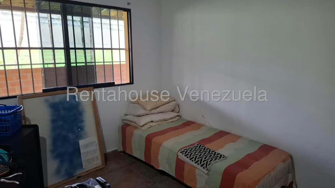 Vista 24