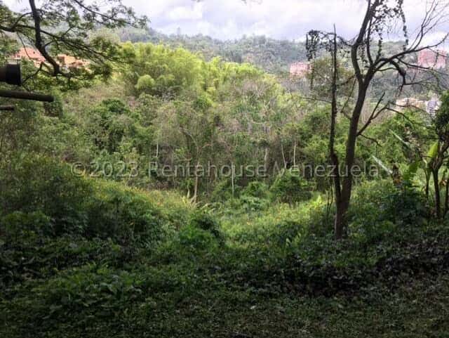 View 21