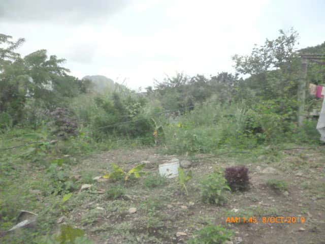 View 4