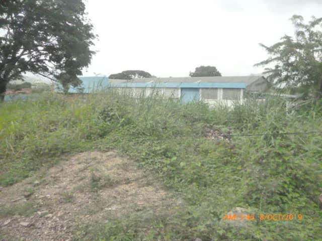 View 5