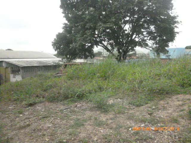 View 6