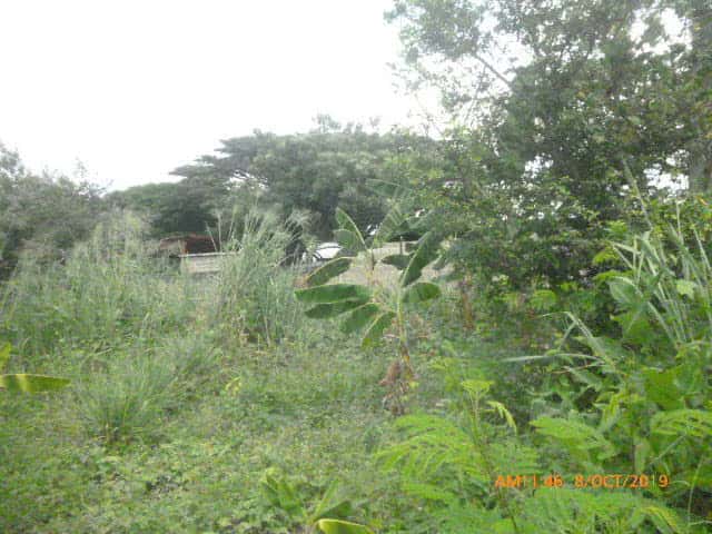 View 8