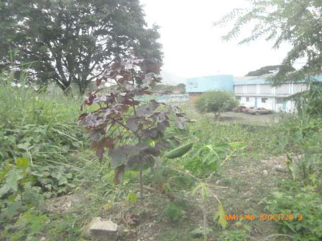 View 9
