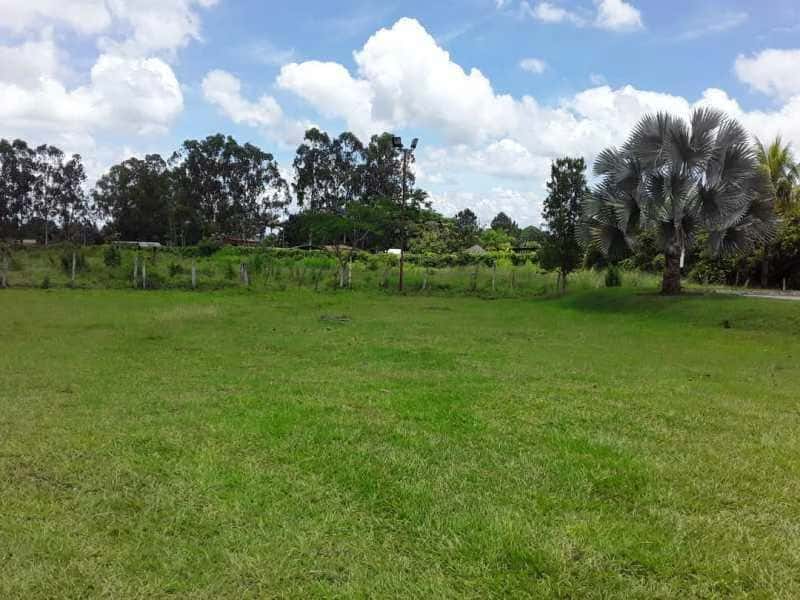 View 49