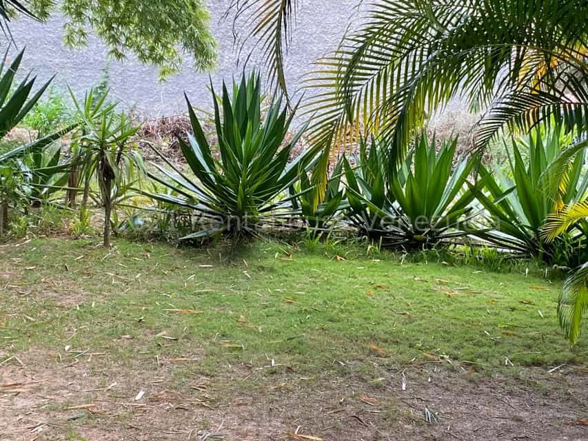 View 16