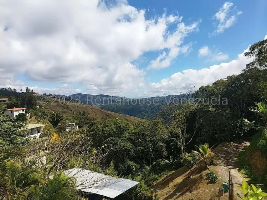 View 61