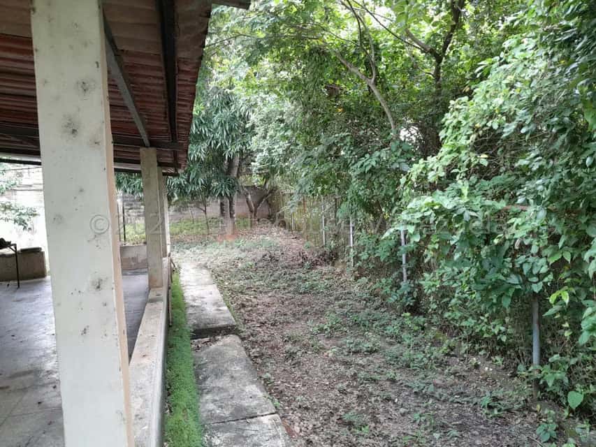 View 12