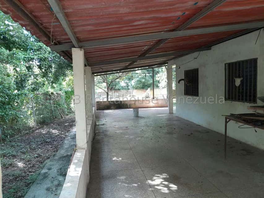 View 25
