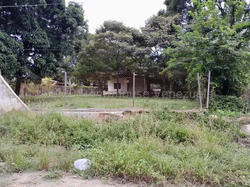 View 10