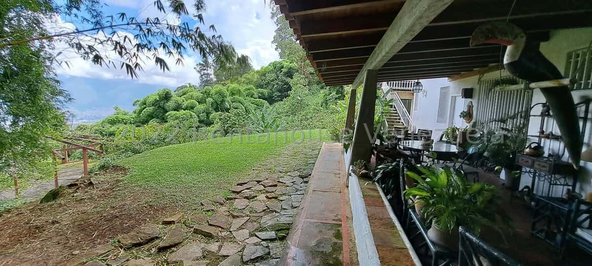 View 22