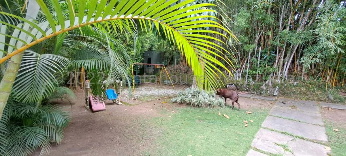 View 31