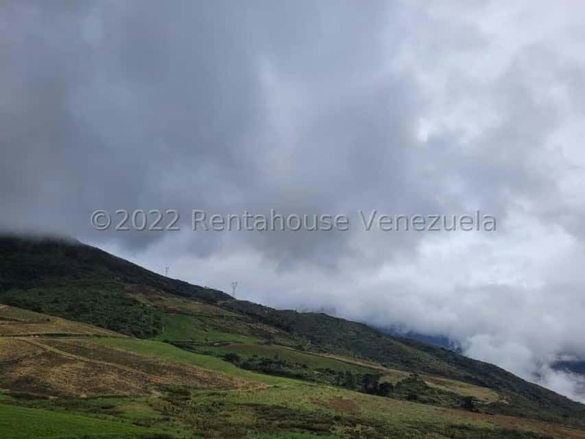 View 4