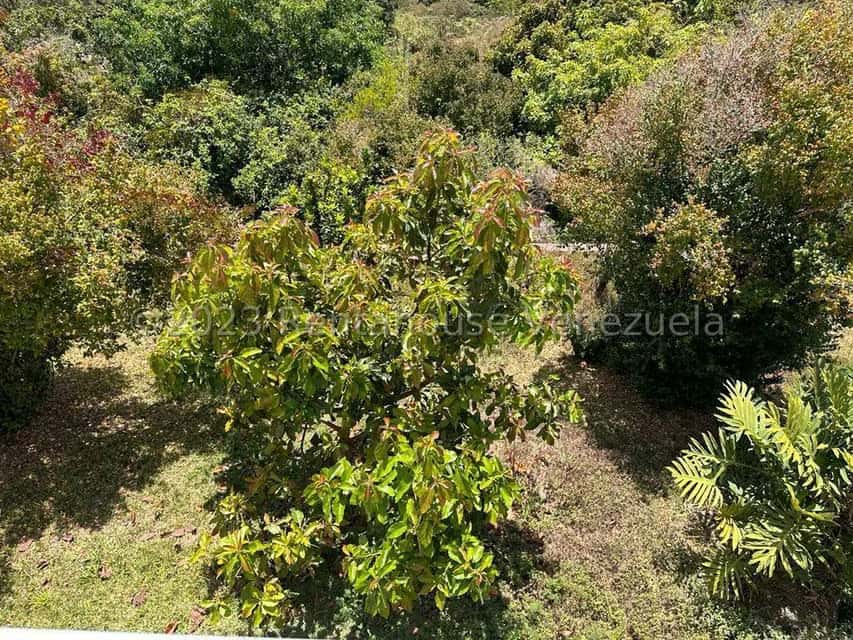 View 47