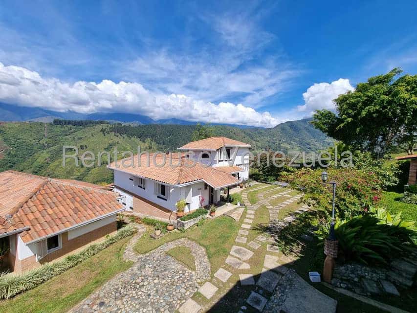 View 82