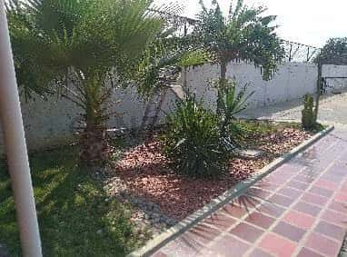 View 25