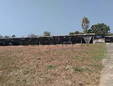 View 29