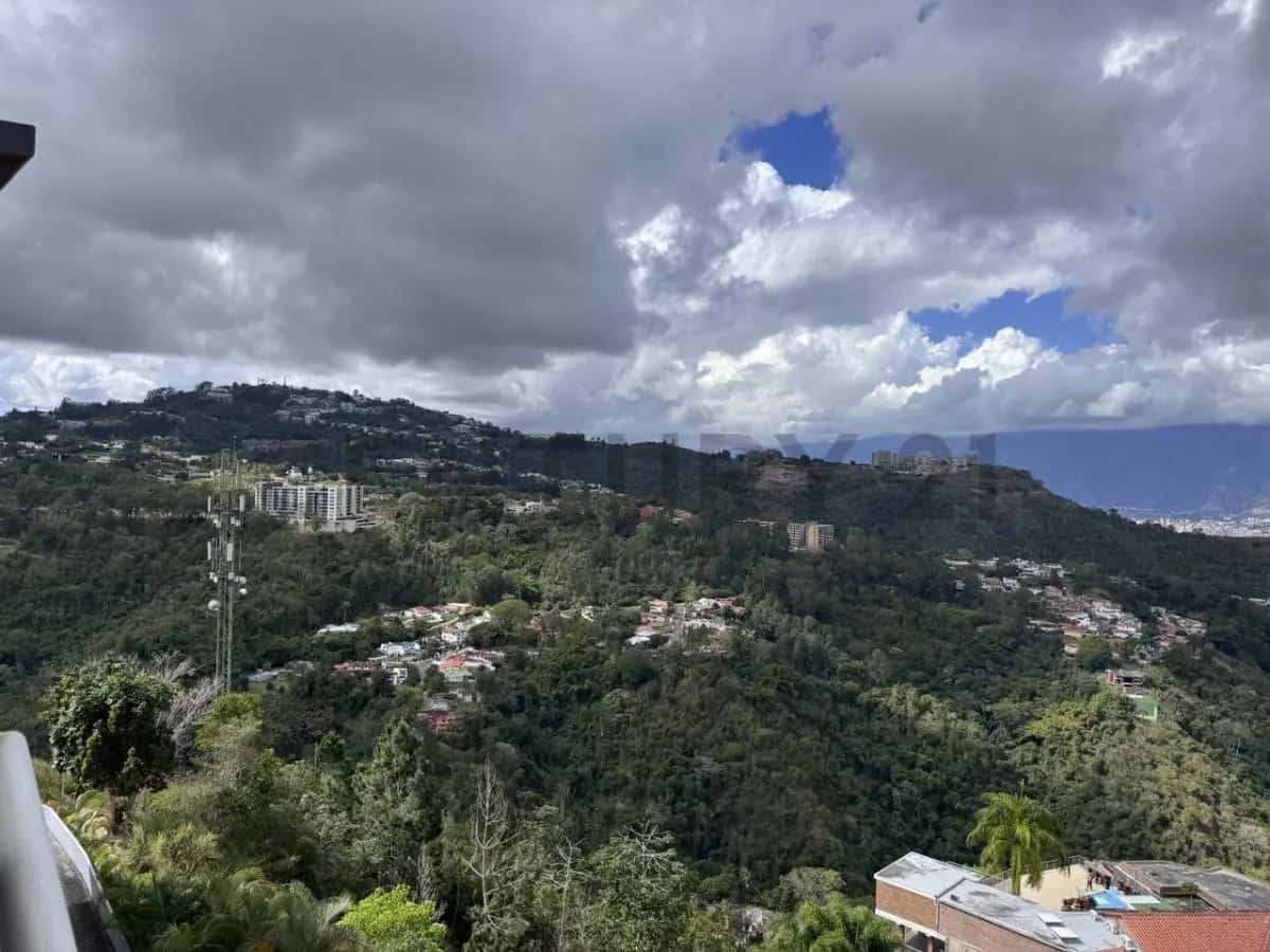 View 12