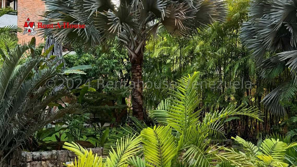 View 24