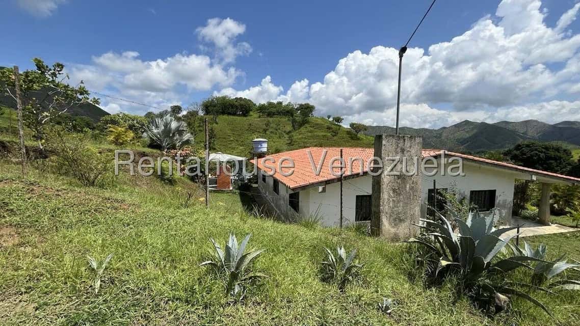 Vista 1