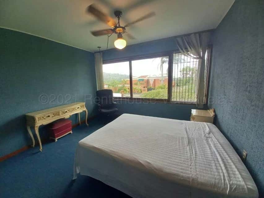 View 29