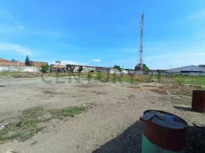 View 5