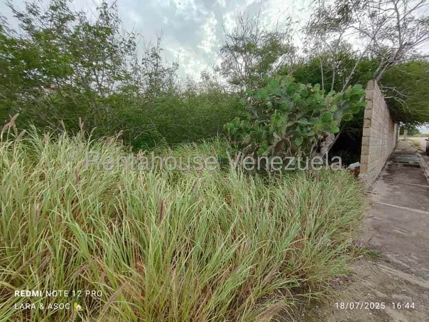 Vista 7
