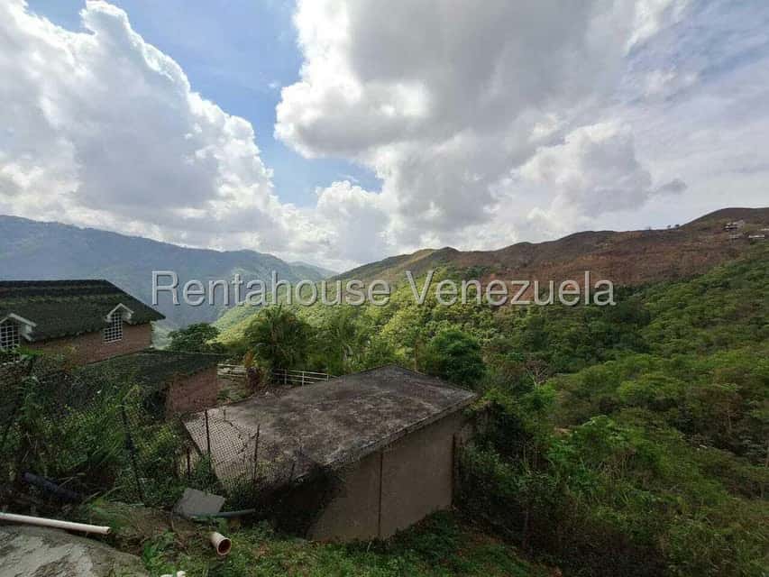 Vista 27