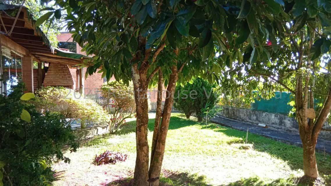 View 21