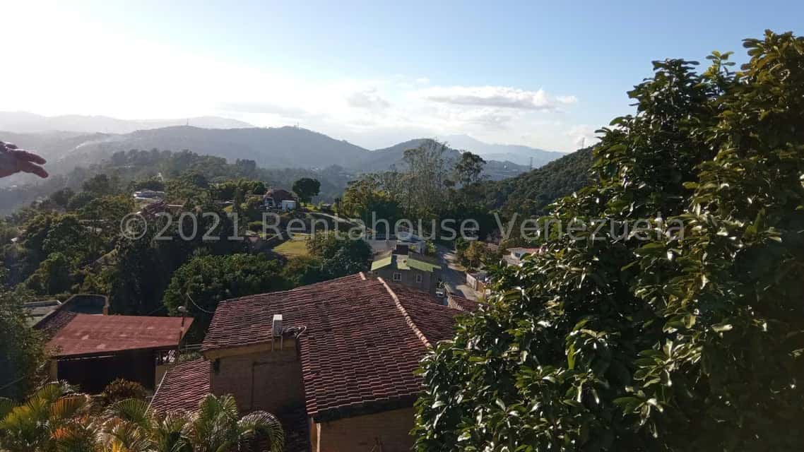 View 24
