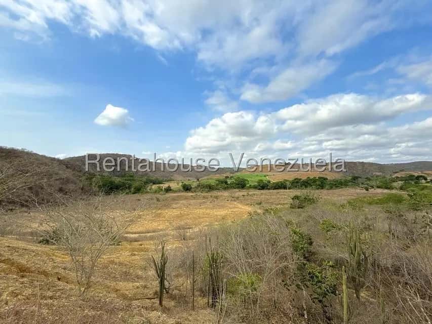 View 17
