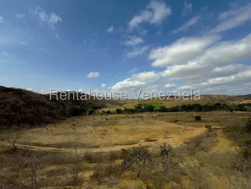 View 18