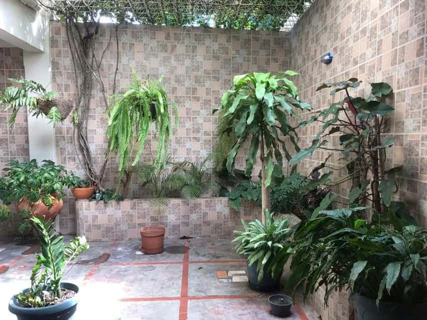 View 8