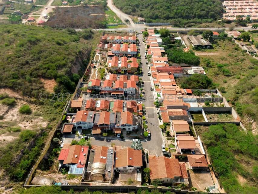 View 29