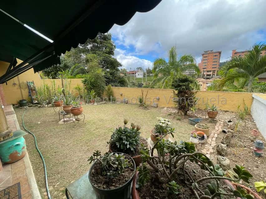View 29