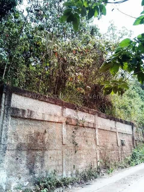 View 1