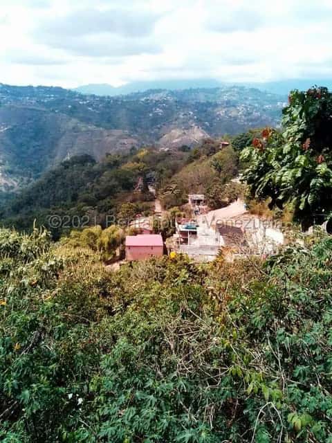 View 13