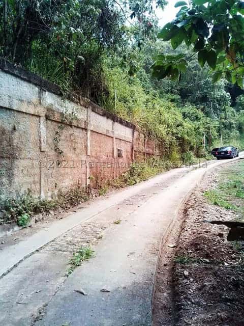 View 3