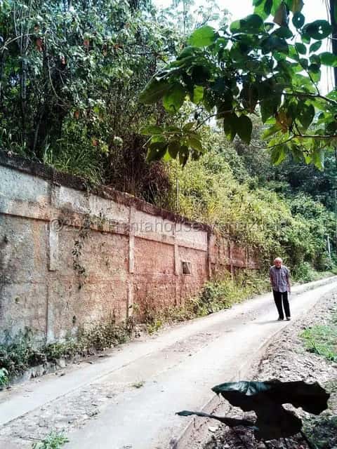 View 6
