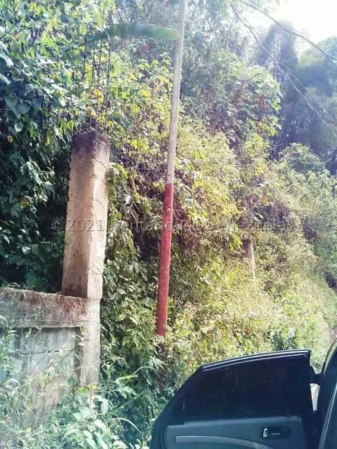 View 7