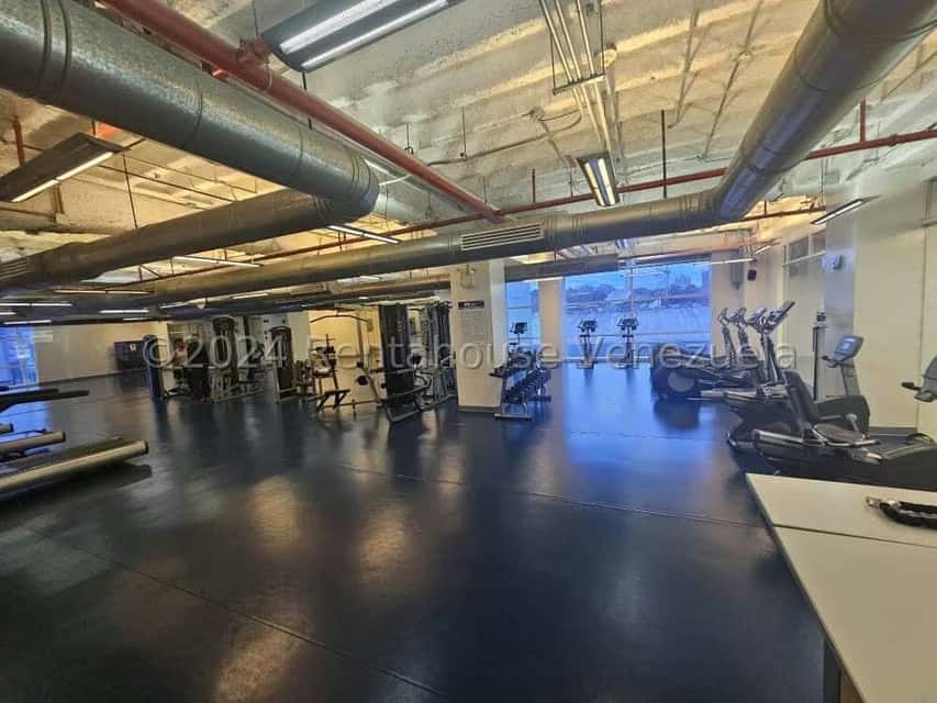 Vista 31