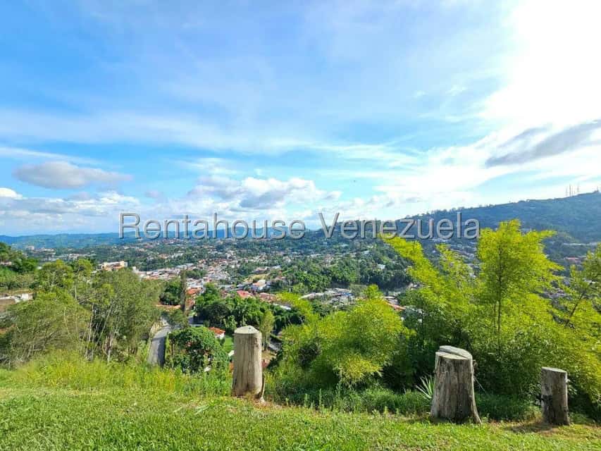 View 53